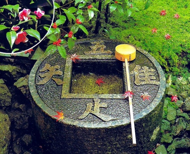 吾唯知足
