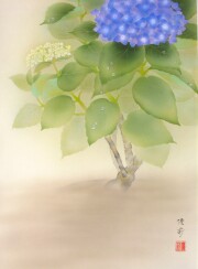 掛け軸　紫陽花　鈴木優莉