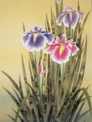 掛け軸　菖蒲　堀　高泉