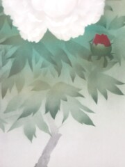 掛け軸　富貴花　中川幸彦