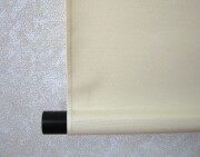 掛け軸　向日葵と猫　白木加葉