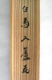 茶掛 白馬入蘆花 小林太玄