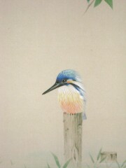 掛け軸　翡翠　藤田春穂