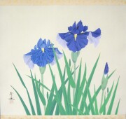 掛け軸　菖蒲　井上秀城
