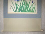 掛け軸　菖蒲　井上秀城