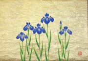 ミニ掛け軸 菖蒲 原田晨志