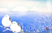 額 シマエナガ 藤澤真実