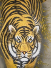 掛け軸　猛虎　高松石華